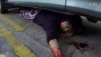 阴阳路视频,穿梭阴阳界，揭秘生死轮回之谜