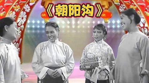 亲家母你坐下视频,温馨家庭关系的和谐演绎