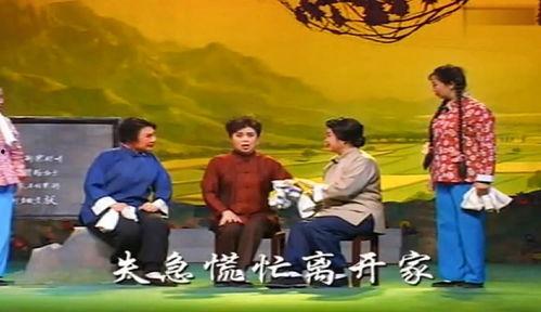 亲家母你坐下视频,温馨家庭关系的和谐演绎
