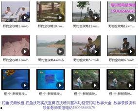 新手钓鱼入门视频教程,视频教程精华汇总