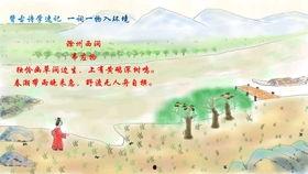 唐诗诵读视频,穿越时空的音韵之旅
