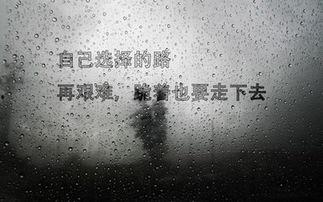 儿童励志视频,儿童励志视频启示录
