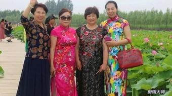 扇子走秀视频,一场视觉与情感的扇子走秀盛宴
