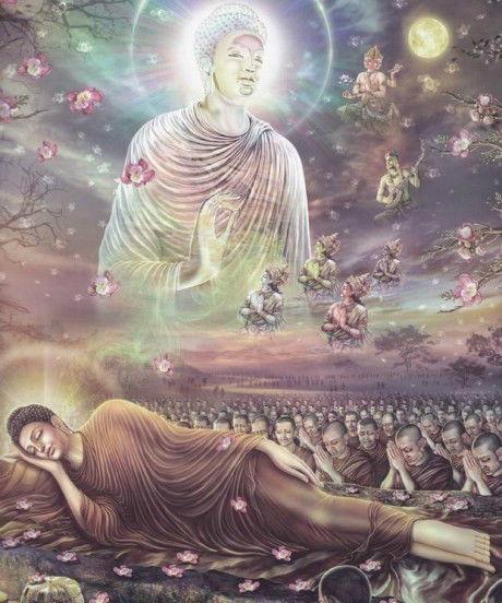 关于佛的视频,探寻佛教智慧与心灵之旅