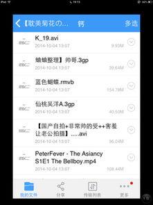blH视频,揭秘其独特魅力与精彩瞬间