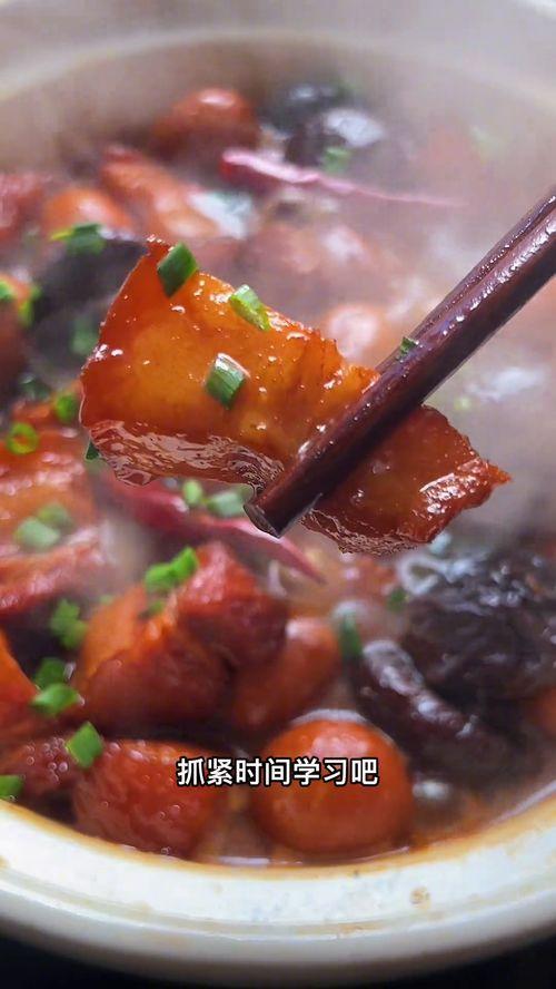 红烧肉怎么做视频,家常美味一网打尽