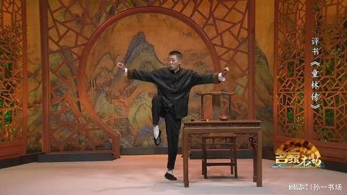 童林传视频,传奇少年闯荡江湖的奇幻之旅