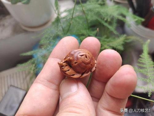 桃核雕刻教程视频,从入门到精通的雕刻艺术之旅