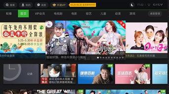 v大视频