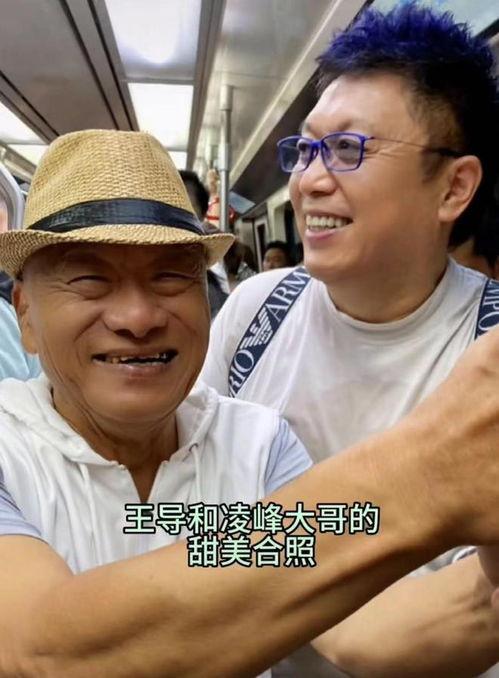 凌峰视频,揭秘科技前沿，畅游知识海洋