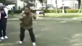 白鹤拳视频,视频揭秘传统武术之美