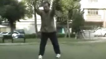 白鹤拳视频,视频揭秘传统武术之美