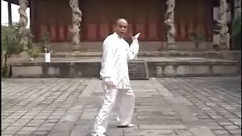 白鹤拳视频,视频揭秘传统武术之美