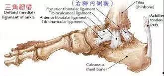 脚骨折打石膏视频,脚骨折康复过程全解析