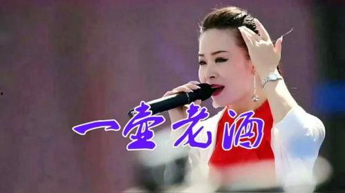 一壶老酒歌曲视频,岁月流转中的温馨回忆