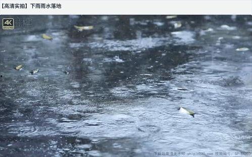 关于下雨的视频,捕捉自然之韵的瞬间