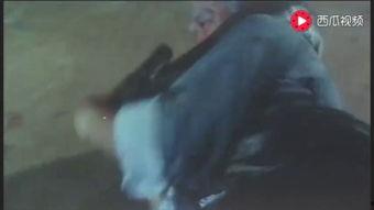 人蛇大战视频,人蛇生死搏斗，揭秘神秘丛林对决