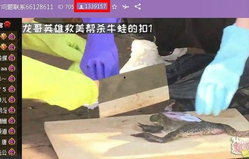 杀牛蛙视频,杀牛蛙视频引发社会热议