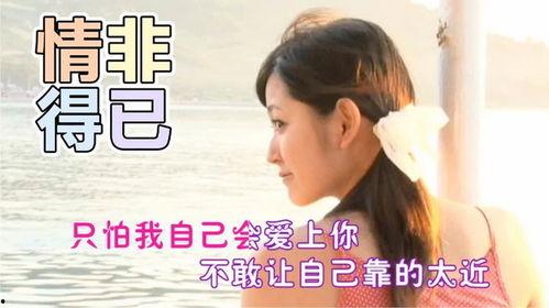 情非得已视频,一段无法抗拒的宿命纠葛