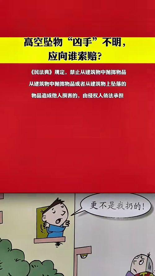 法律知识视频,解读法律要点与案例分析