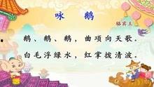 咏鹅视频,探寻鹅的优雅与智慧