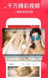 西瓜视频资源,探索热门内容，解锁精彩瞬间