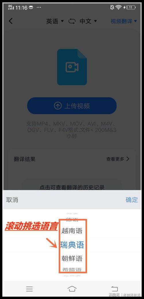 翻译视频字幕,揭秘视频内容背后的精彩瞬间