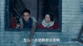 打狗队视频,守护社区安宁的守护者