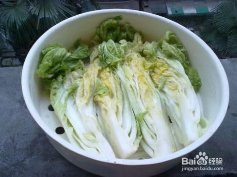酸菜的腌制方法视频,视频教程详解