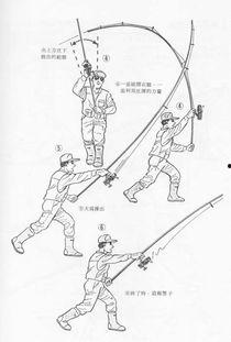 海竿怎么用视频,轻松掌握垂钓技巧视频概述