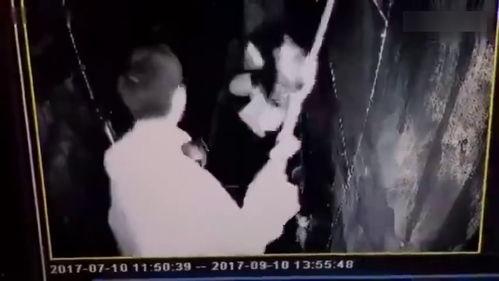 鬼屋视频大全,鬼屋视频大全深度解析