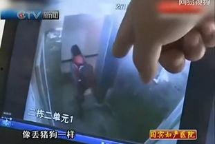 电梯里的视频,一场惊心动魄的冒险之旅