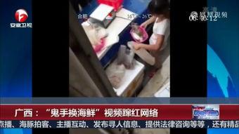 交换视频在线观看,交换视频在线观看新体验
