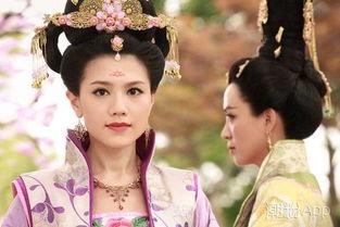 宫心计视频,宫廷权谋与爱恨情仇的纠葛