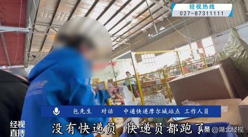 中通快递视频,揭秘高效物流背后的科技力量
