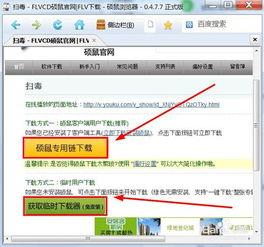 怎么下载网上视频,网上视频下载全攻略