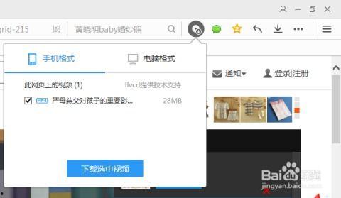 怎么下载网上视频,网上视频下载全攻略