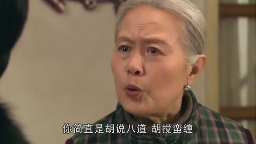 媳妇欺负婆婆视频,视频揭露家庭冲突背后的真相