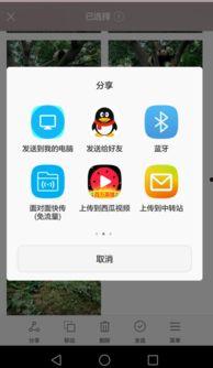 怎样转发视频,如何高效转发视频教程