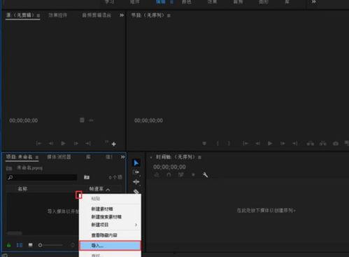 pr视频没声音,探索PR视频无音效果的独特魅力