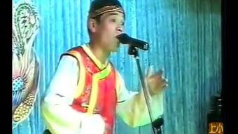 二人转正戏视频,二人转正戏魅力再现