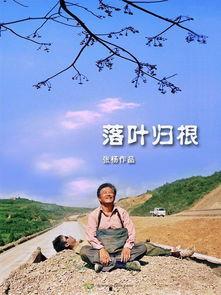 落叶归根视频,探寻生命轮回的深情之旅