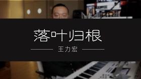 落叶归根视频,探寻生命轮回的深情之旅