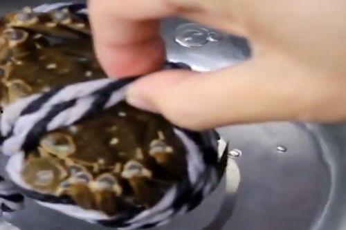 怎么清洗螃蟹视频,轻松掌握清洁技巧