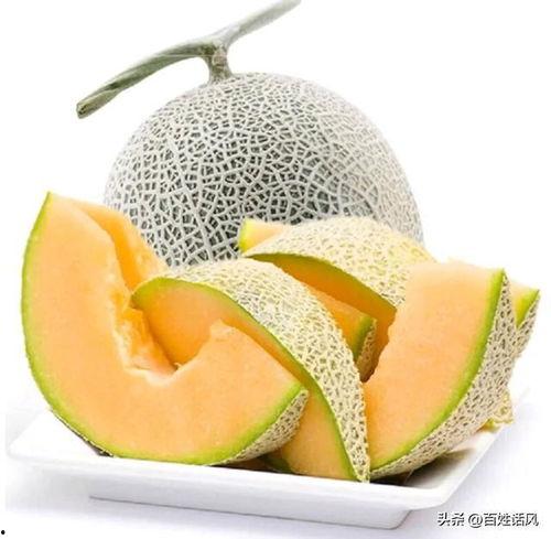 嘉兴水果哈密瓜今日行情,品质佳价优，果香四溢迎丰收