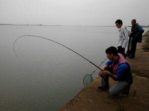 钓海鳗视频,跟随视频学钓技