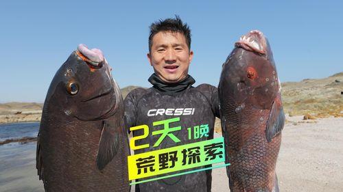 钓海鳗视频,跟随视频学钓技