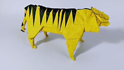 老虎折纸视频,跟随视频教程，轻松制作可爱老虎模型