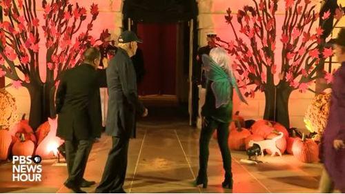 万圣节活动视频,惊悚与欢乐交织的奇幻之旅