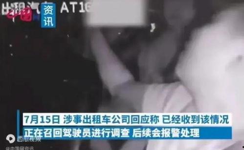 摸胸大全视频,趣味与知识并存的视觉盛宴